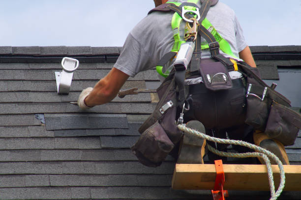Best Engineered Wood Siding  in Shasta Lake, CA